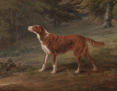 Ranger by George Garrard